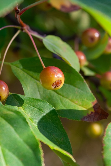 通过界